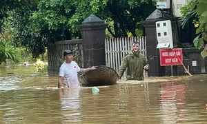 Những người nước ngoài cứu trợ bão lũ ở Việt Nam